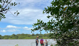 Palo Verde Boat Tour