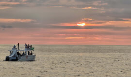 Sunset Party Catamaran