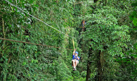 Adrenaline Treetops