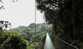Cloud Forest Full Pack Monteverde