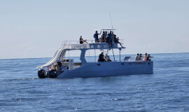 Private Catamaran Ocean Seaside Garza