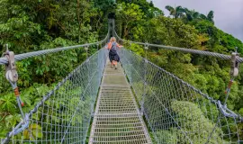 Mistico (Treetops Arenal)