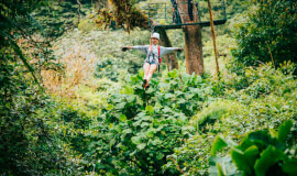 Zipline & Sloths Monteverde