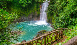 Rio Celeste Waterfall & Sloths