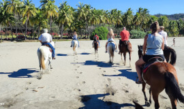 Horseback Riding