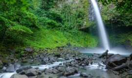Waterfall & Sloths Arenal
