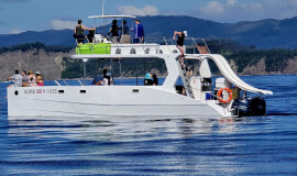 Ocean Seafari 2 in 1