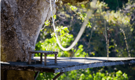 Wing Nutz Canopy Tours 9 cables