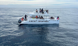 Full Day Private Catamaran Tour