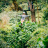Zipline & Sloths Monteverde