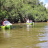 Wildlife & Mangrove Kayak