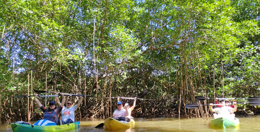 Wildlife & Mangrove Kayak
