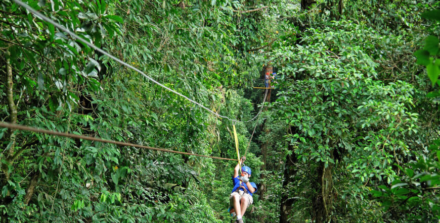 Adrenaline Treetops