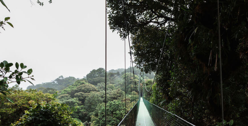 Cloud Forest Full Pack Monteverde