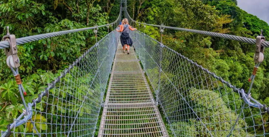 Mistico (Treetops Arenal)