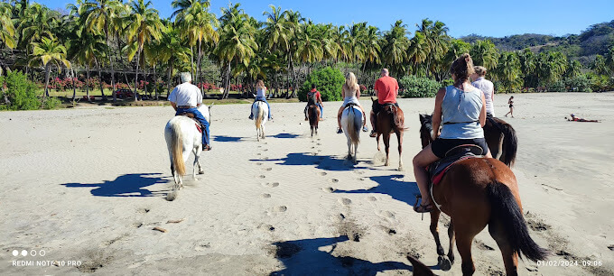 Horseback Riding