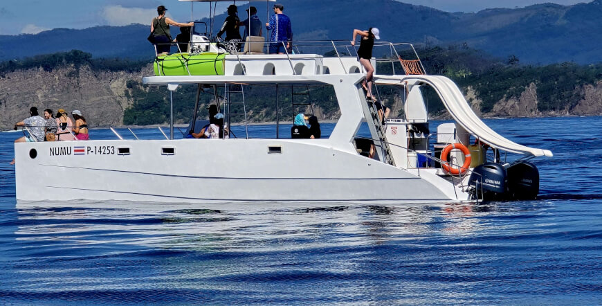 Ocean Seafari 2 in 1