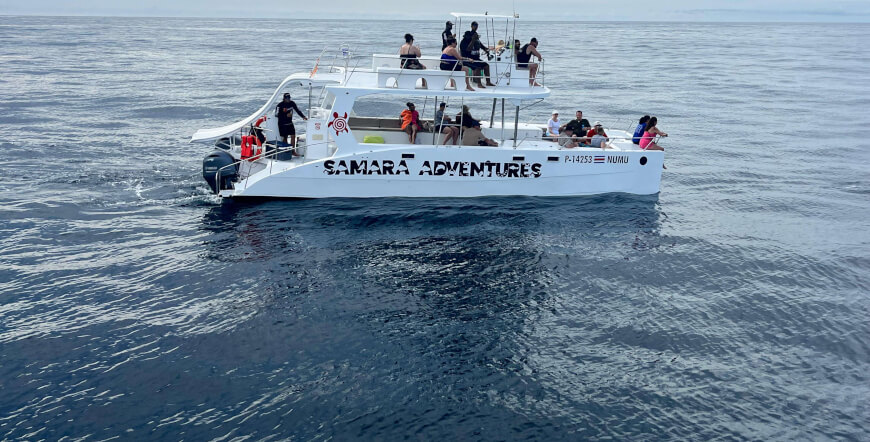 Full Day Private Catamaran Tour